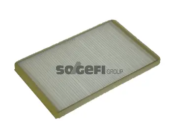 Filter, cabin air (E319)