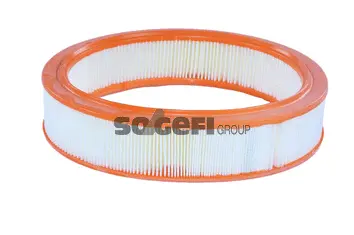 Air Filter (A409)
