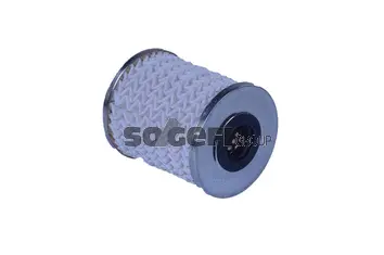 Fuel Filter (N487)
