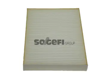Filter, cabin air (E387)