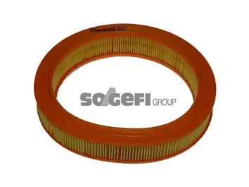 Air Filter (A636)
