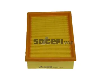Air Filter (A307)