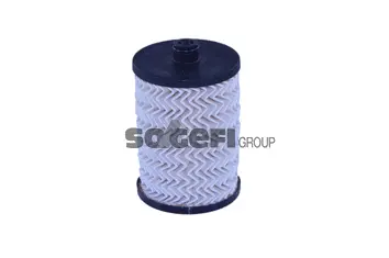 Fuel Filter (N489)