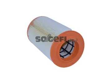 Air Filter (A2241)