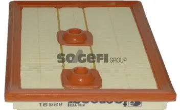 Air Filter (A2491)