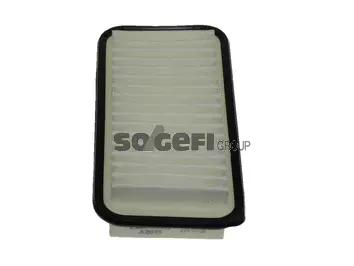 Air Filter (A2019)