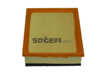 Air Filter (A2036)