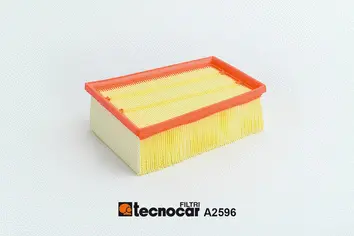 Air Filter (A2596)