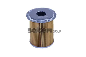 Fuel Filter (N451)