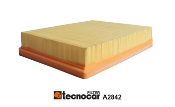 Air Filter (A2842)