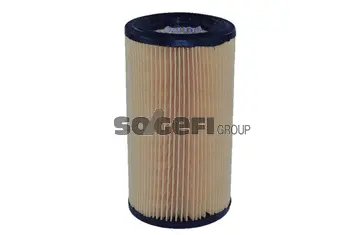 Air Filter (A263)