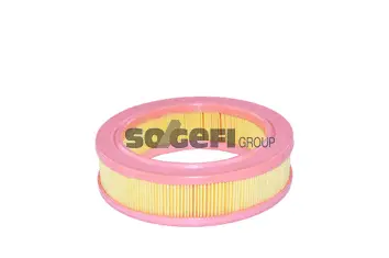 Air Filter (A442)