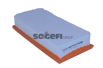 Air Filter (A2490)