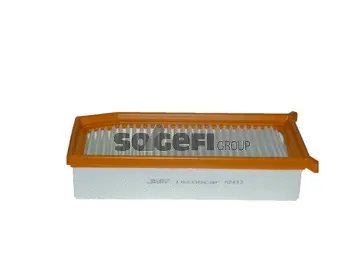 Air Filter (A2493)