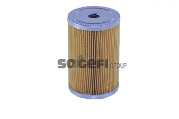 Fuel Filter (N500)