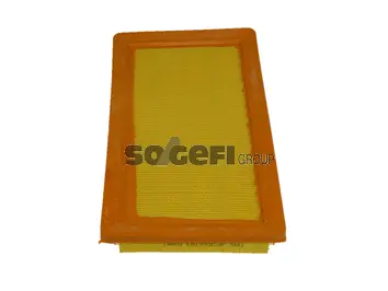 Air Filter (A443)