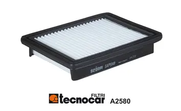 Air Filter (A2580)