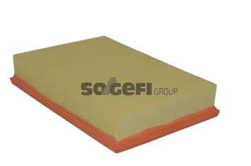 Air Filter (A2079)