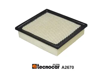 Air Filter (A2670)