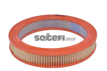Air Filter (A174)