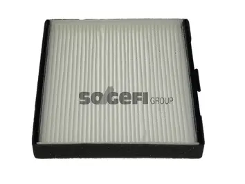 Filter, cabin air (E462)