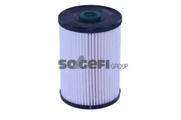 Fuel Filter (N494)