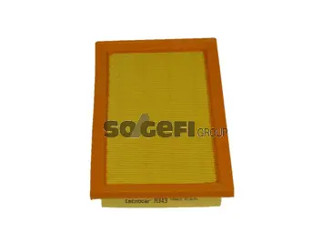 Air Filter (A343)