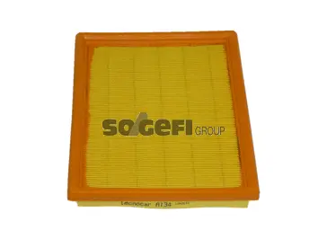Air Filter (A134)