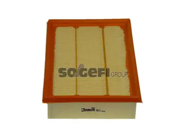 Air Filter (A411)