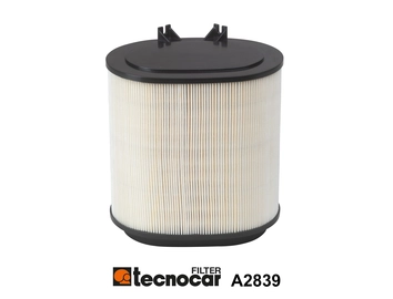 Air Filter (A2839)