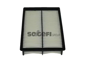 Air Filter (A2197)