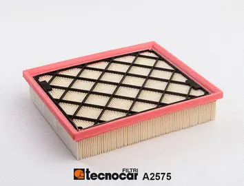 Air Filter (A2575)