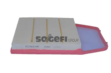 Air Filter (A2422)