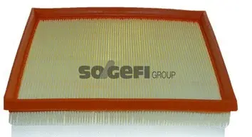 Air Filter (A2569)