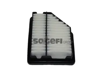 Air Filter (A2250)