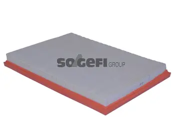 Air Filter (A2420)