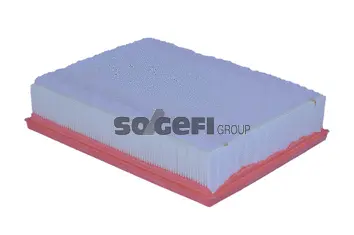 Air Filter (A2256)