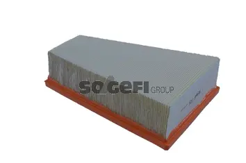 Air Filter (A2236)