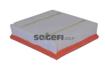 Air Filter (A2460)
