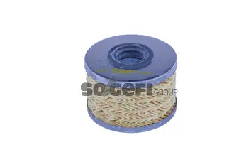 Fuel Filter (N452)