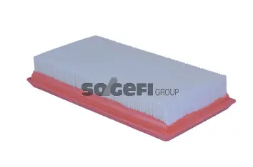 Air Filter (A2204)