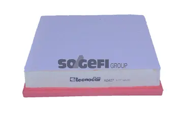 Air Filter (A2427)