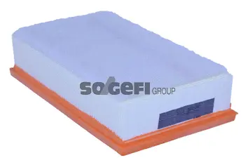 Air Filter (A2247)