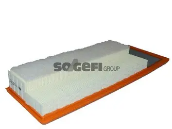 Air Filter (A2394)