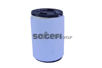 Air Filter (A2402)