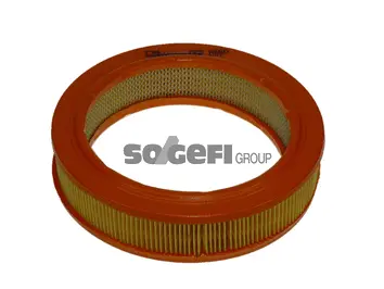 Air Filter (A660)
