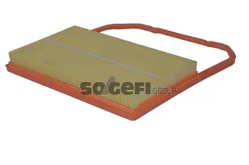 Air Filter (A2479)