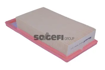 Air Filter (A2134)