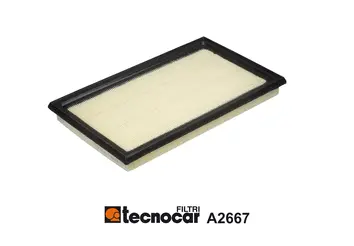 Air Filter (A2667)