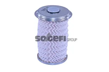 Fuel Filter (N493)